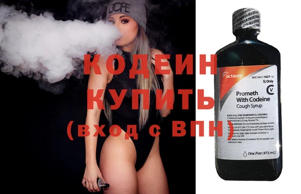 стаф Ельня