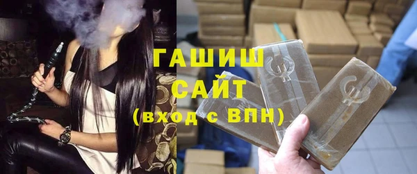 стаф Ельня
