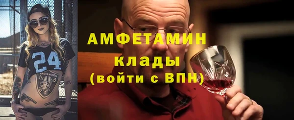 стаф Ельня