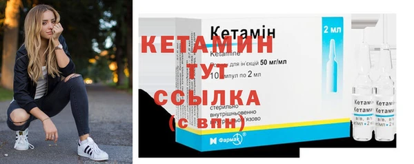 стаф Ельня