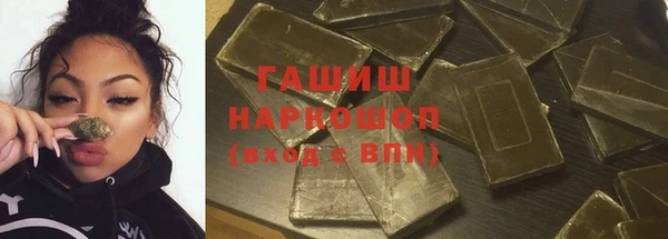стаф Ельня