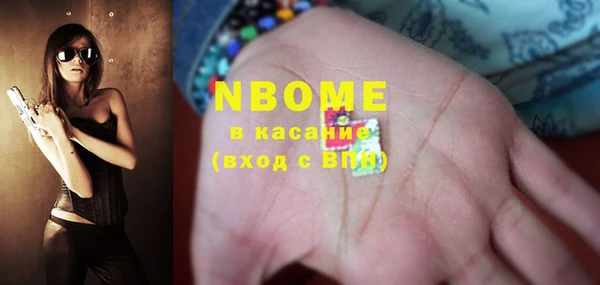 стаф Ельня