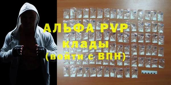 стаф Ельня