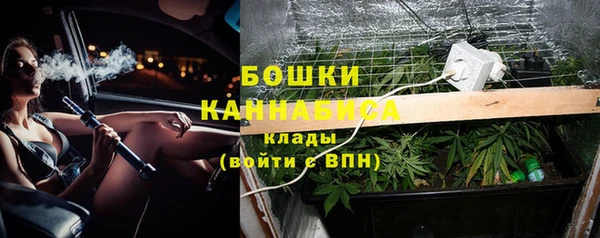 стаф Ельня