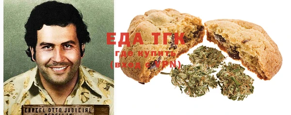 стаф Ельня