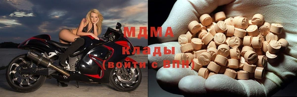 стаф Ельня