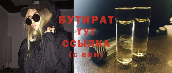 стаф Ельня